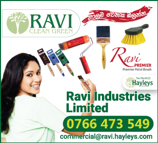 Ravi Industries Limited