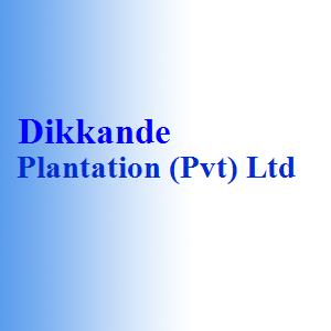 Dikkande Plantation (Pvt) Ltd