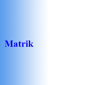 Matrik