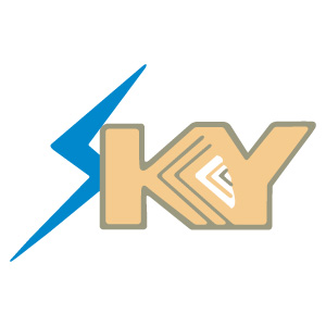 Skyray Associates