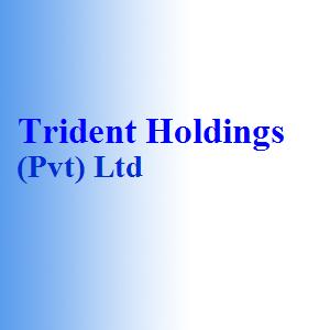 Trident Holdings (Pvt) Ltd