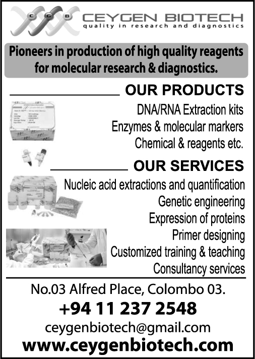 advertisement